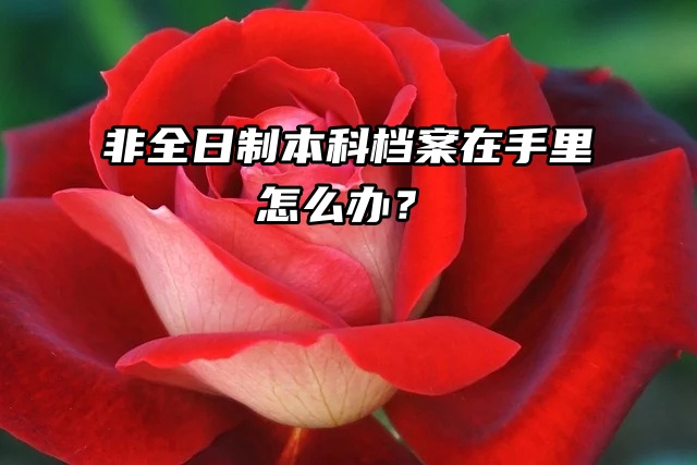 要政审了你解决了吗？非全日制本科档案在手里怎么办？