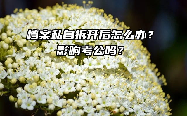 档案私自拆开后怎么办？影响考公吗？