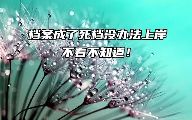 档案在自己手里成了死档没办法上岸？不看不知道！