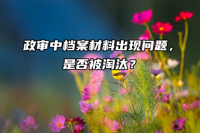 政审中档案材料出现问题，是否被淘汰？