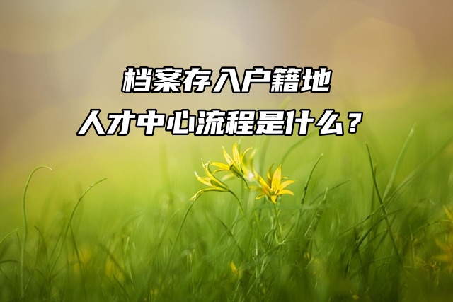 档案存入户籍地人才中心流程是什么？