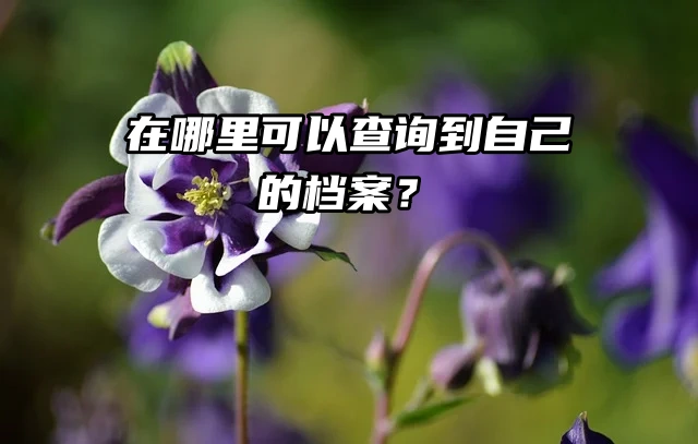 在哪里可以查询到自己的档案？按照这几个步骤走！