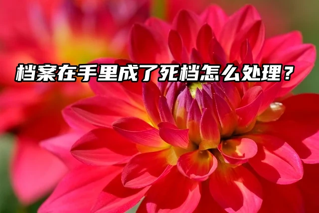 死档激活：档案在手里成了死档怎么处理？