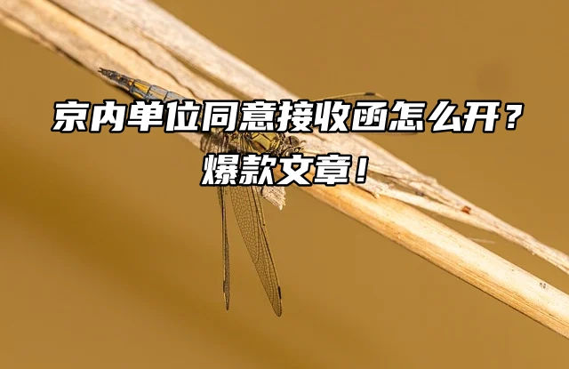 京内单位同意接收函怎么开？爆款文章！