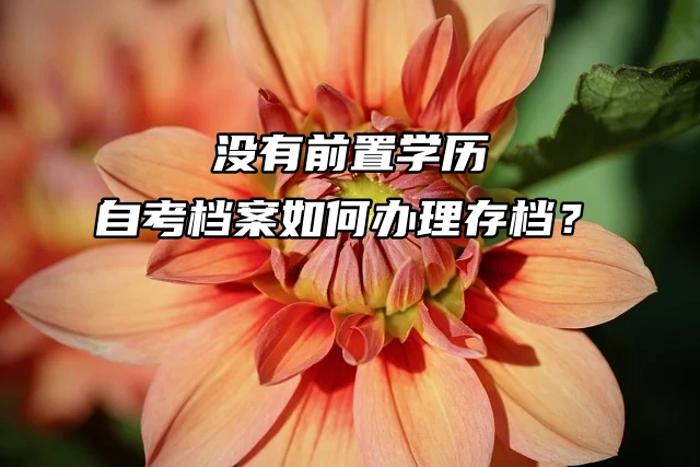 没有前置学历时自考档案如何办理存档？