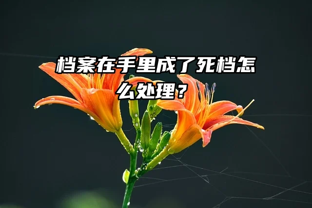 死档激活流程来了！档案在手里成了死档怎么处理？