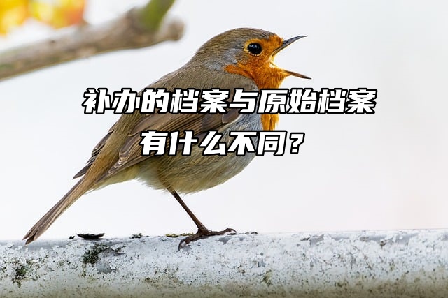 补办的档案与原始档案有什么不同？