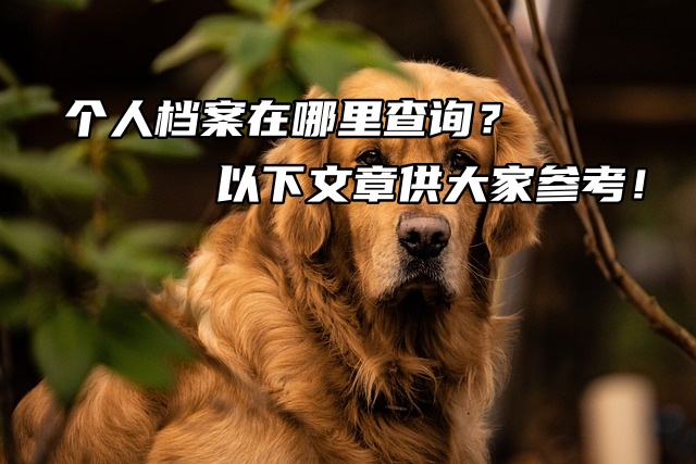 个人档案在哪里查询？以下文章供大家参考！