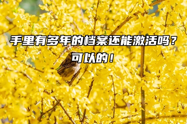 手里有多年的档案还能激活吗？可以的！