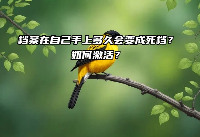 档案在自己手上多久会变成死档？如何激活？