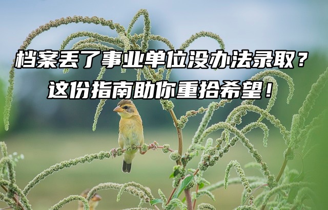 档案丢了事业单位没办法录取？这份指南助你重拾希望！