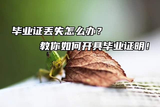 毕业证丢失怎么办？教你如何开具毕业证明！