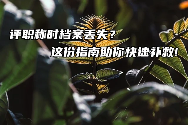 评职称时档案丢失？这份指南助你快速补救!