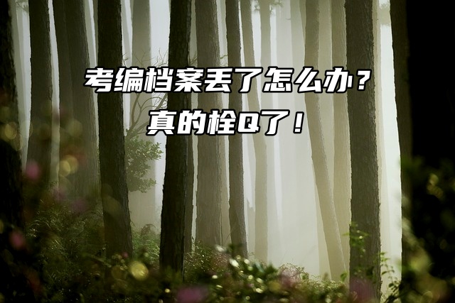 考编档案丢了怎么办？真的栓Q了！