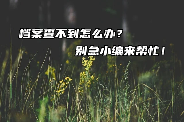 档案查不到怎么办？别急小编来帮忙！