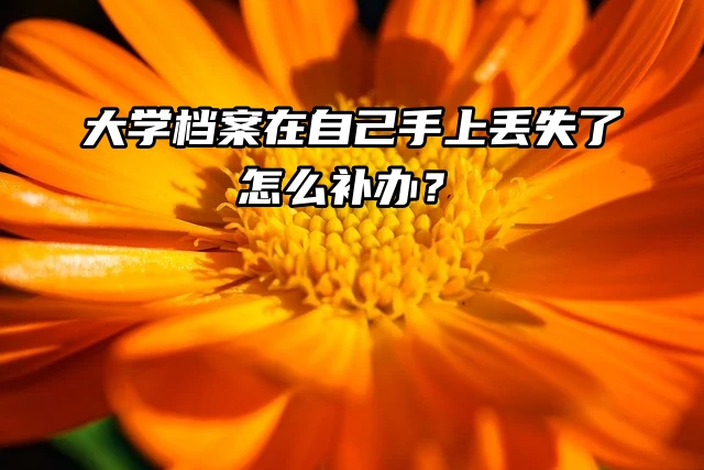 大学档案在自己手上丢失了怎么补办？