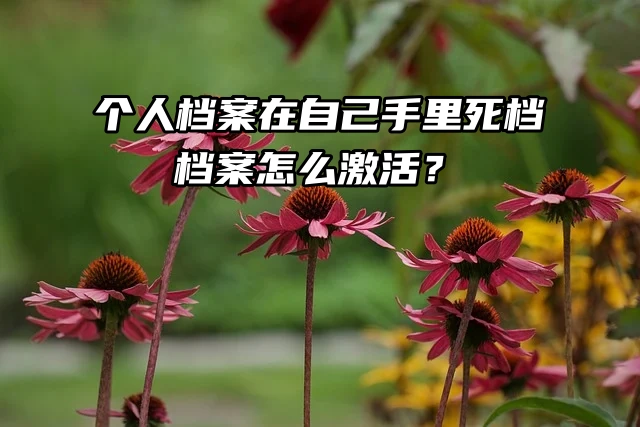 个人档案在自己手里死档，档案怎么激活？