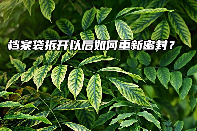 档案袋拆开以后如何重新密封？速速码住！