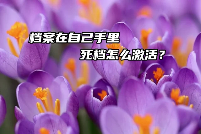 档案在自己手里，死档怎么激活？