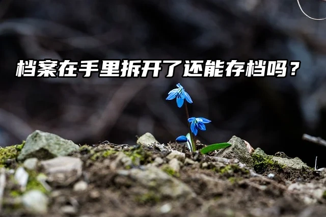 举手提问：档案在手里拆开了还能存档吗？