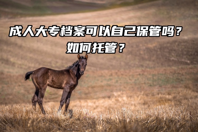 成人大专档案可以自己保管吗？如何托管？