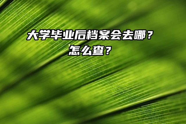 大学毕业后档案会去哪？怎么查？