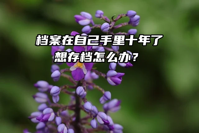 档案在自己手里十年了，想存档怎么办？