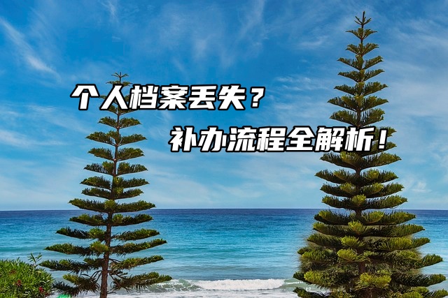 个人档案丢失？别慌，补办流程全解析！