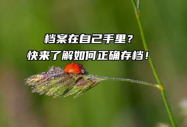 档案在自己手里？快来了解如何正确存档！