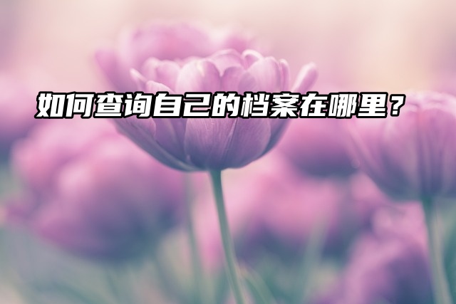 举手提问：如何查询自己的档案在哪里？