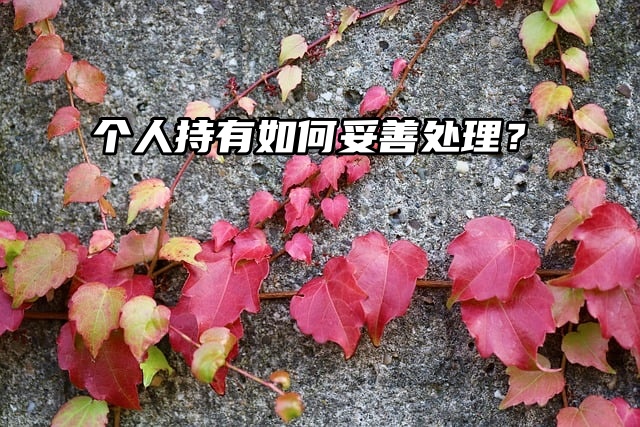 自考本科档案：个人持有如何妥善处理？