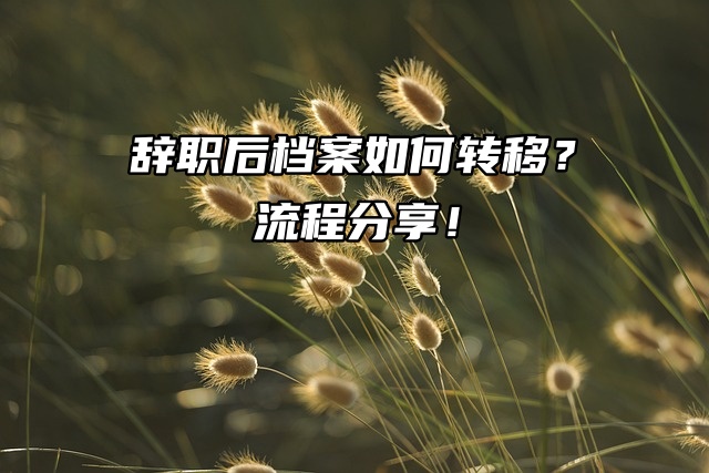 广州辞职后档案如何转移？流程分享！