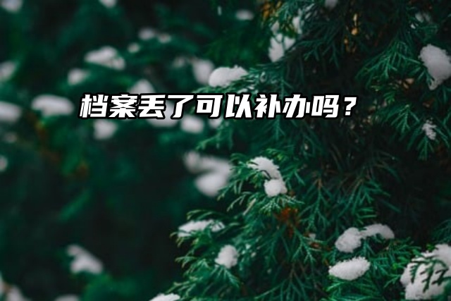 档案丢了可以补办吗？最新补办流程有哪些？