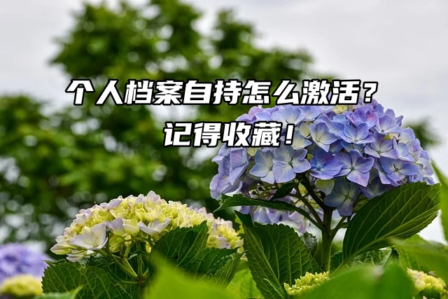 个人档案自持怎么激活？记得收藏！