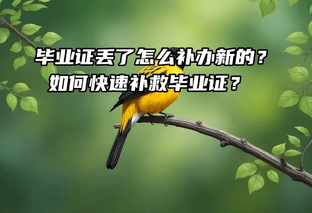 毕业证丢了怎么补办新的？如何快速补救毕业证？