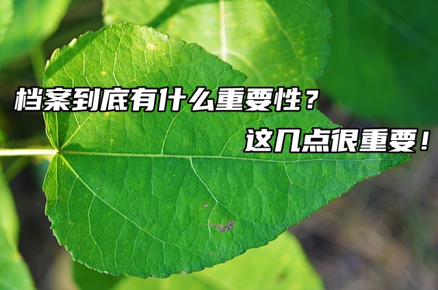 档案到底有什么重要性？这几点很重要！