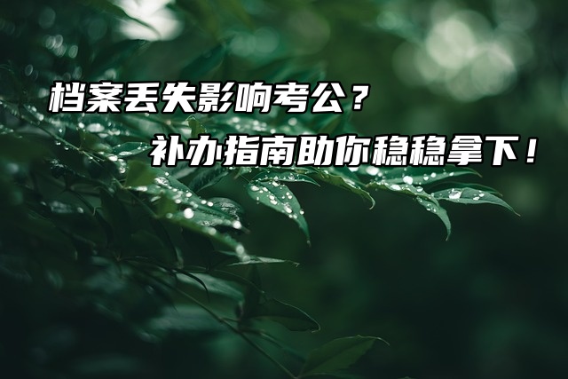 档案丢失影响考公？补办指南助你稳稳拿下！