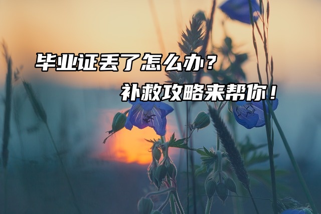 毕业证丢了怎么办？补救攻略来帮你！