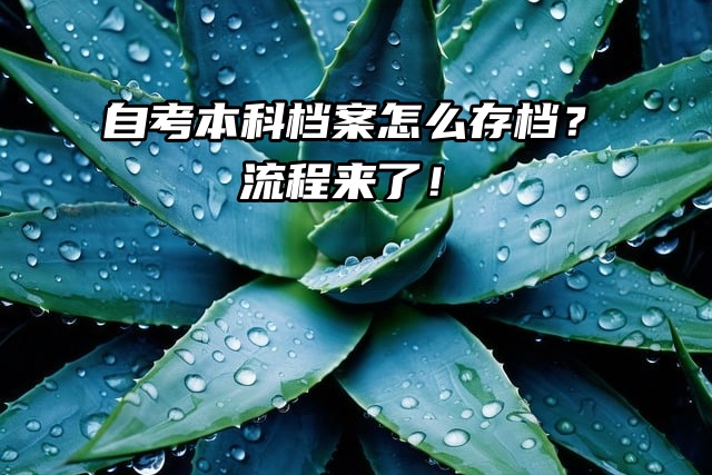 自考本科档案怎么存档？流程来了！