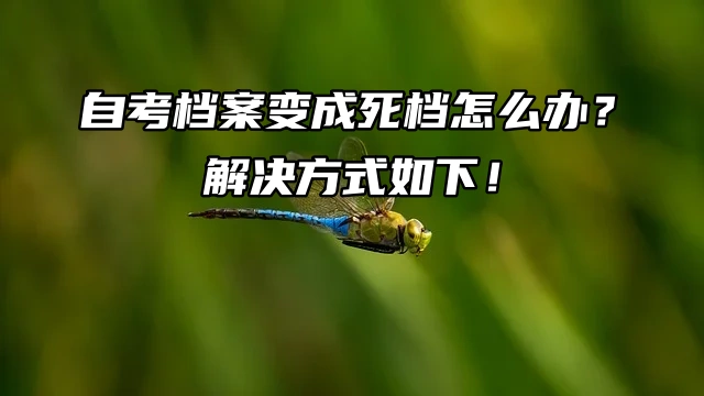 自考档案变成死档怎么办？解决方式如下！