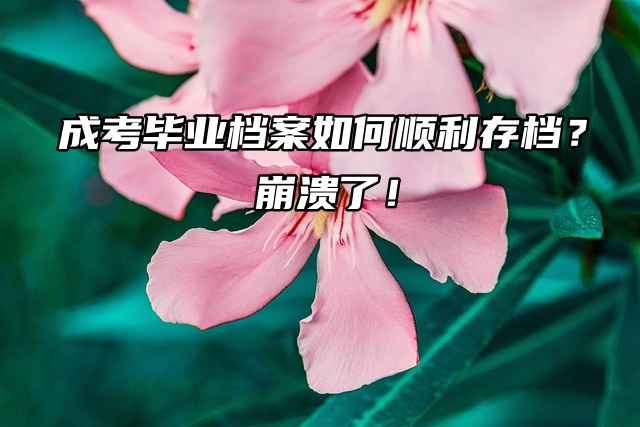 成考毕业档案如何顺利存档？崩溃了！