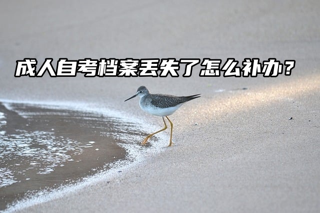 成人自考档案丢失了怎么补办？补办流程看这里！