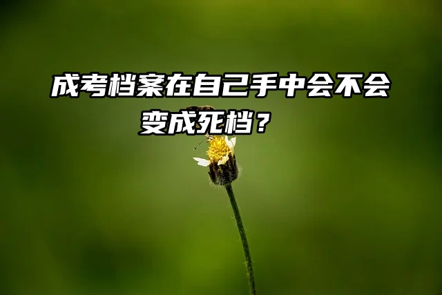 成考档案在自己手中会不会变成死档？