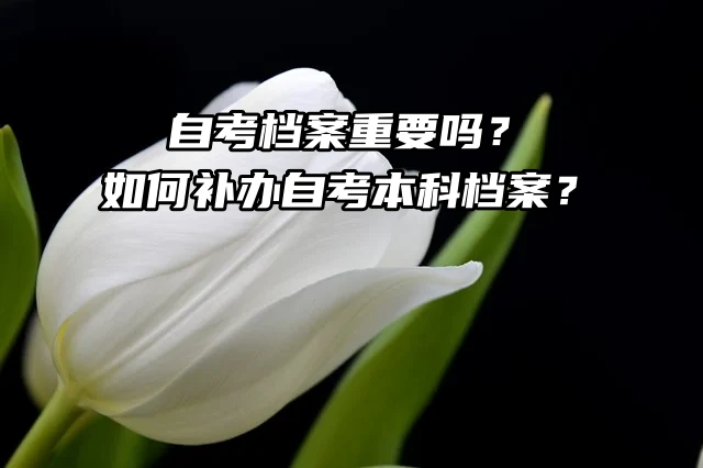 自考档案重要吗？如何补办自考本科档案？