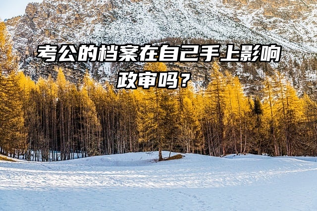 考公的档案在自己手上影响政审吗？