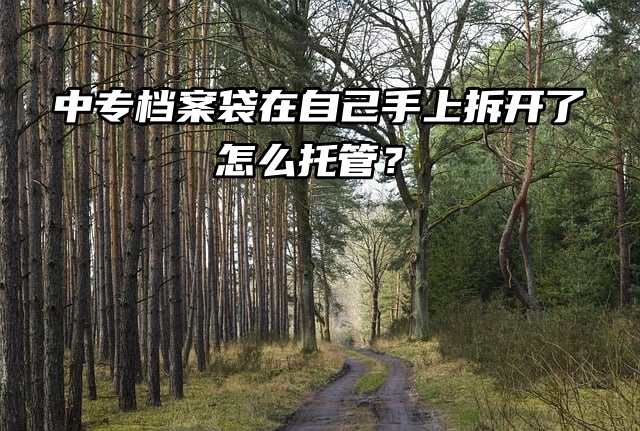 中专档案袋在自己手上拆开了怎么托管？看看就知道了！