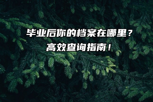 毕业后你的档案在哪里？高效查询指南！