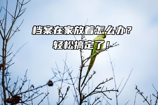 档案在家放着怎么办？轻松搞定了！