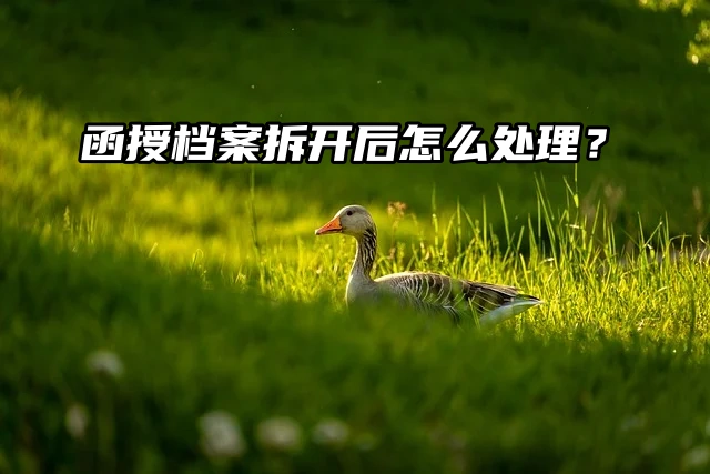 来看看吧！函授档案拆开后怎么处理？