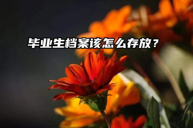 毕业生档案该怎么存放？一篇教你搞定！